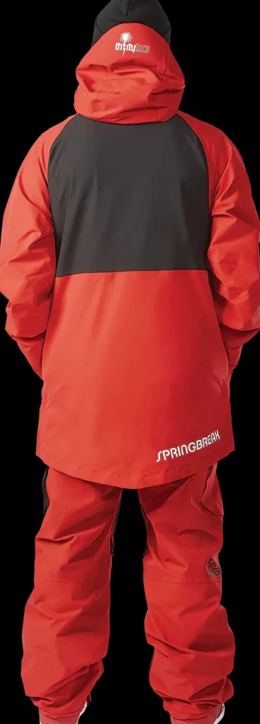 Men'S Spring Break X Pintail Powder Parka*Thirtytwo Discount